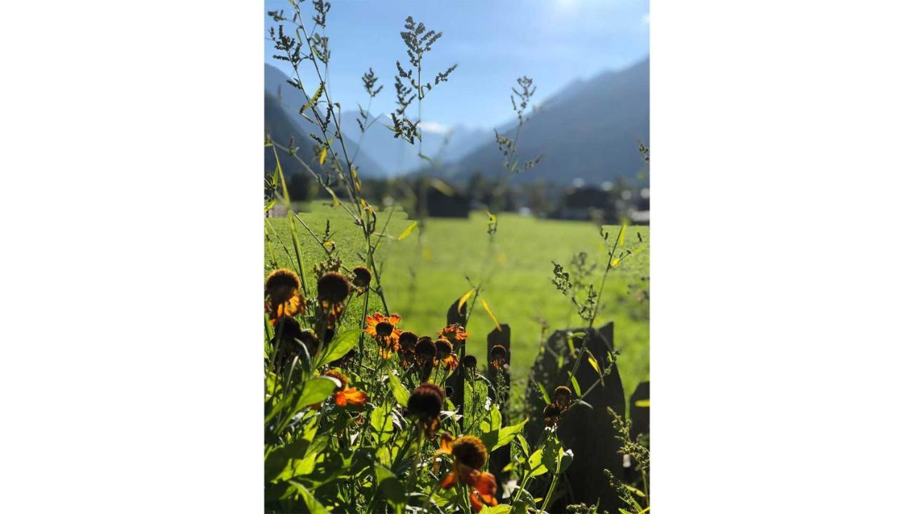 Gastehaus Haus Barbara Διαμέρισμα Neustift im Stubaital Εξωτερικό φωτογραφία